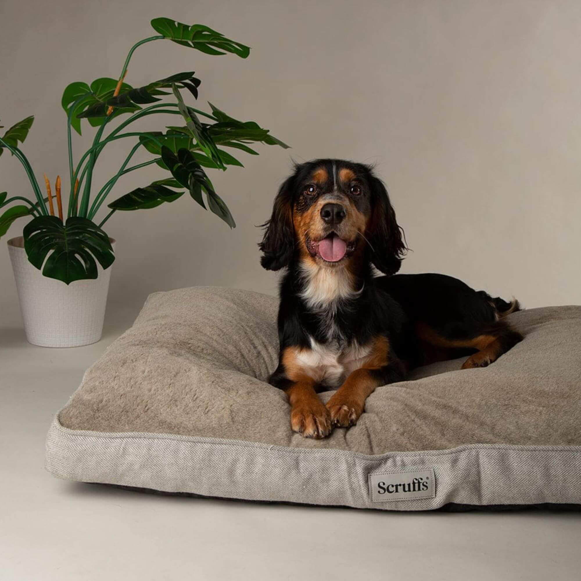 Scruffs Harvard Memory Foam Mattress - Image 3