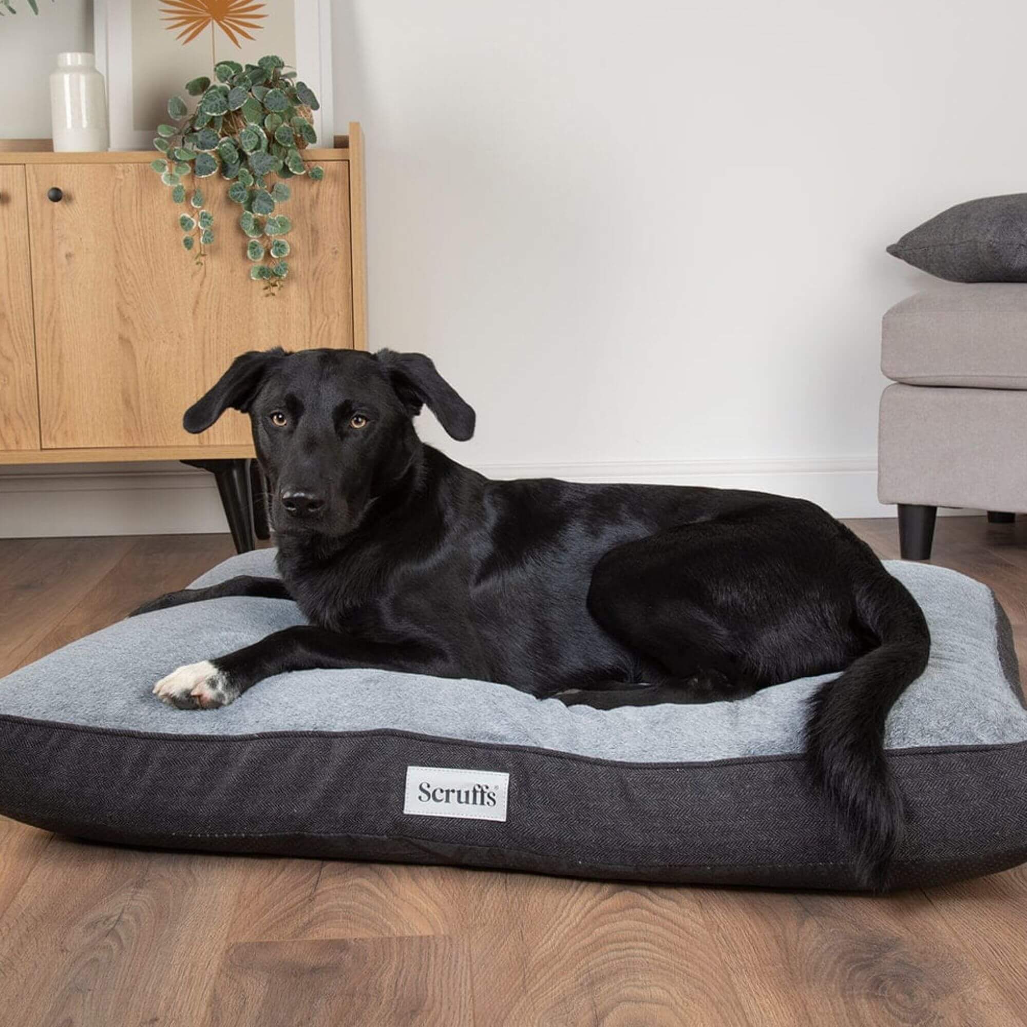 Scruffs Harvard Memory Foam Mattress - Image 9