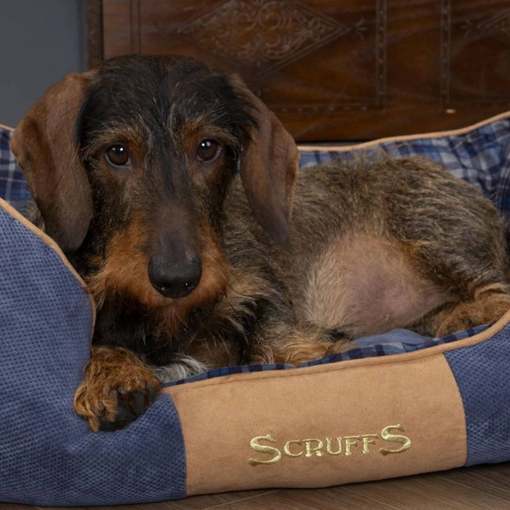 Scruffs Highland Box Bed - Image 6