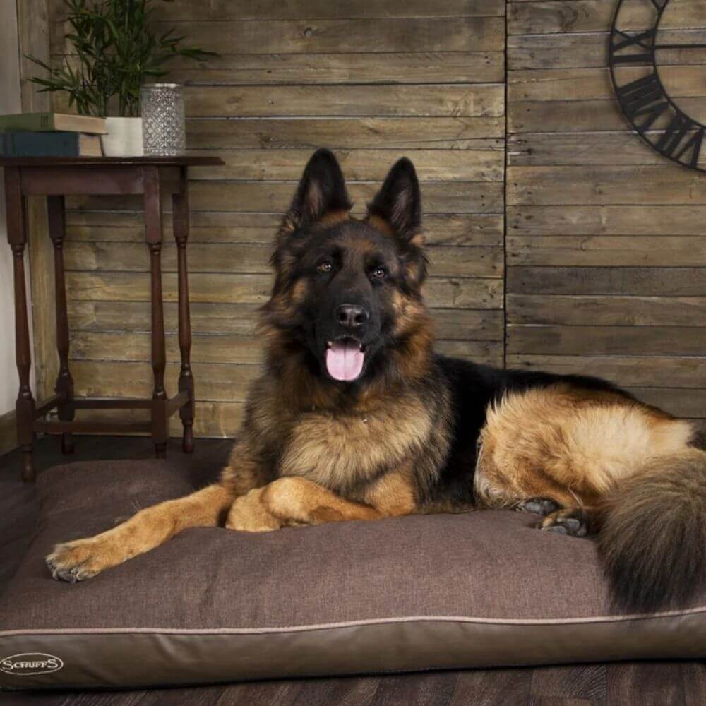 Scruffs Hilton Orthopaedic Memory Foam Dog Mattress - Image 9