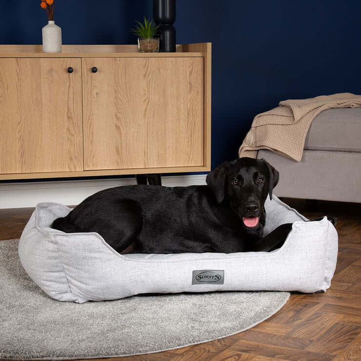 Scruffs Manhattan Dog Box Bed - Image 4