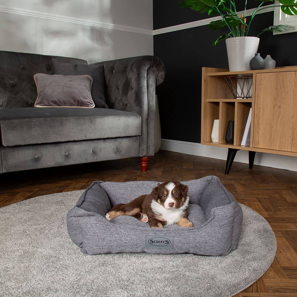 Scruffs Manhattan Dog Box Bed - Image 7