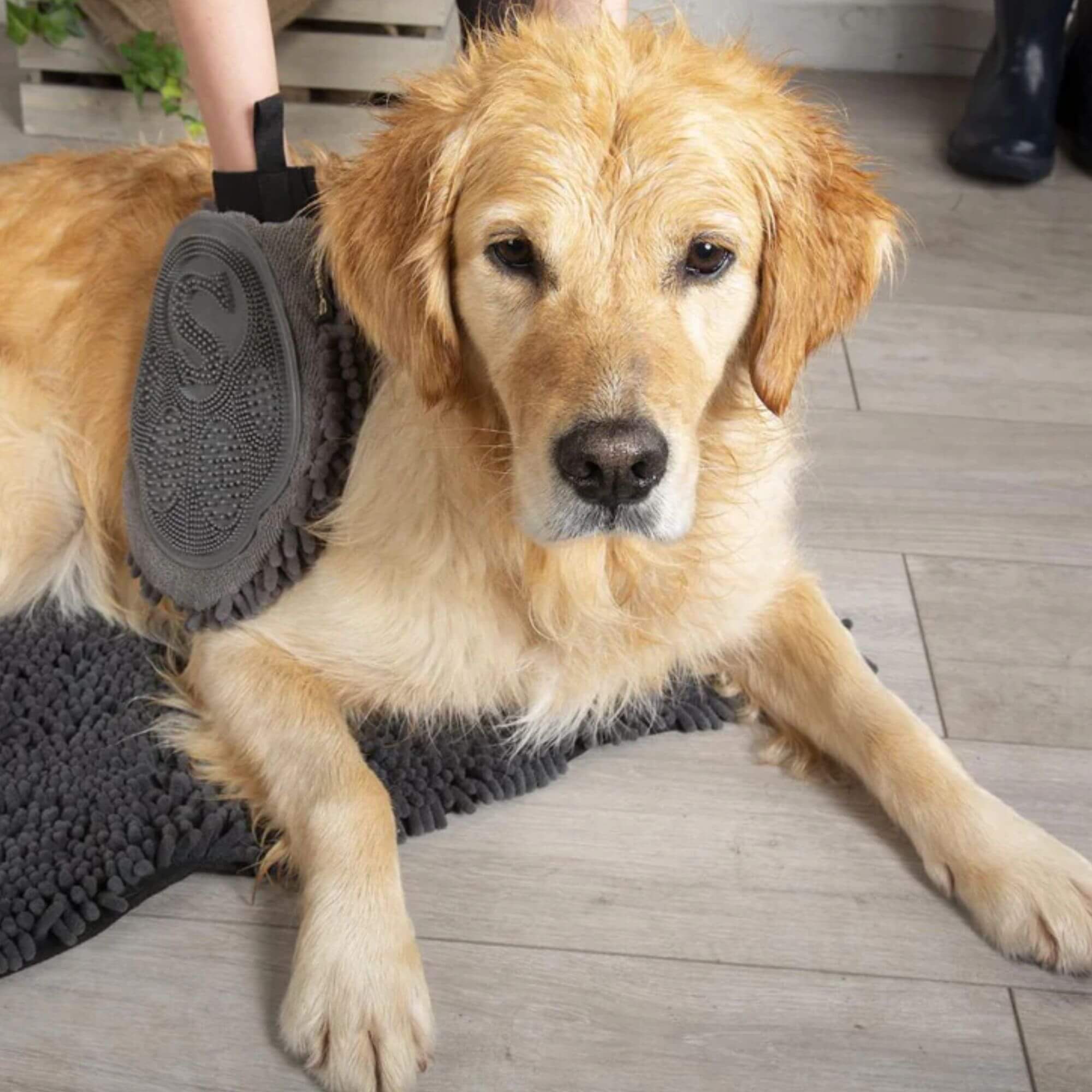 Scruffs Noodle Dry Mitt for Dogs - Image 2