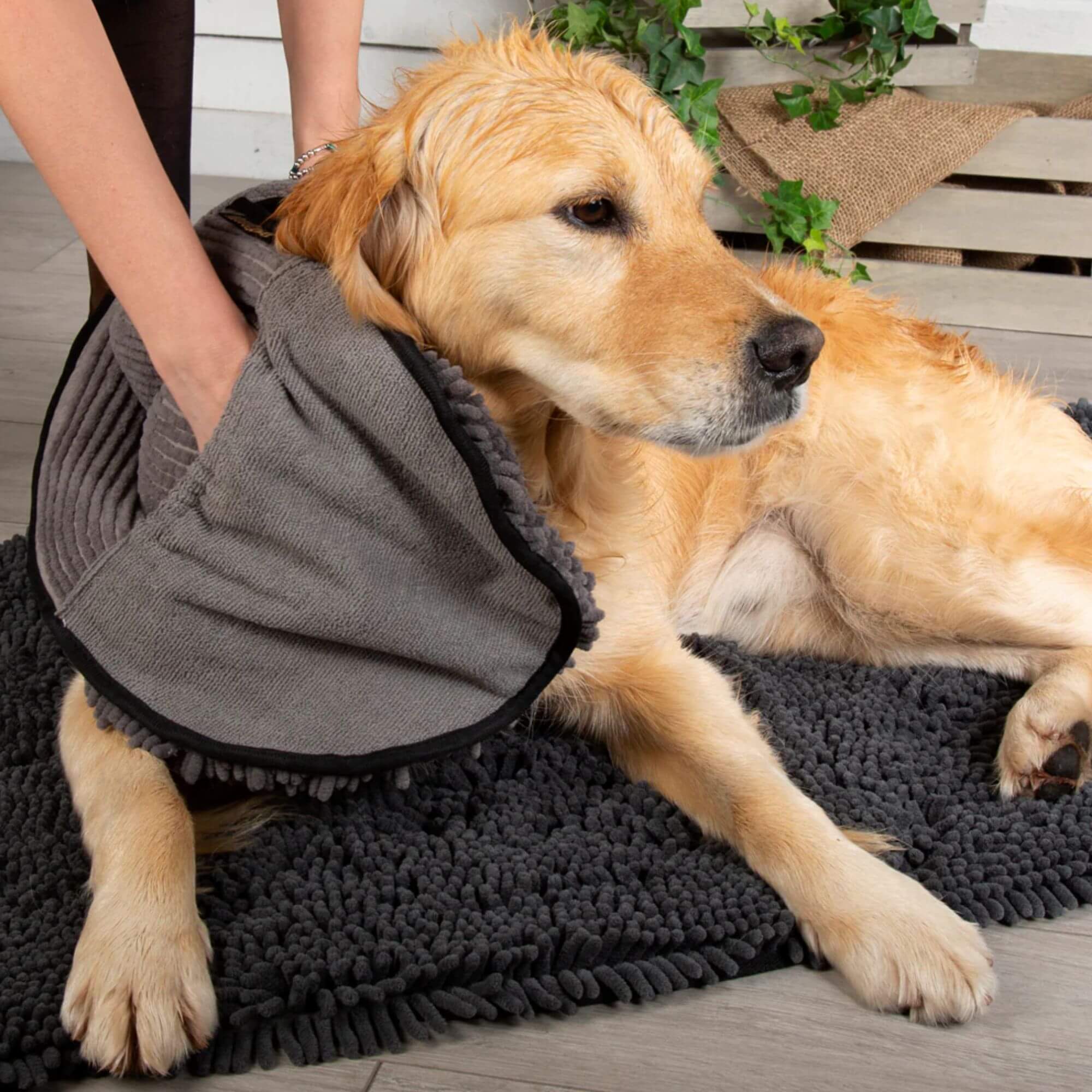 Scruffs Noodle Drying Towel for Dogs - Image 4