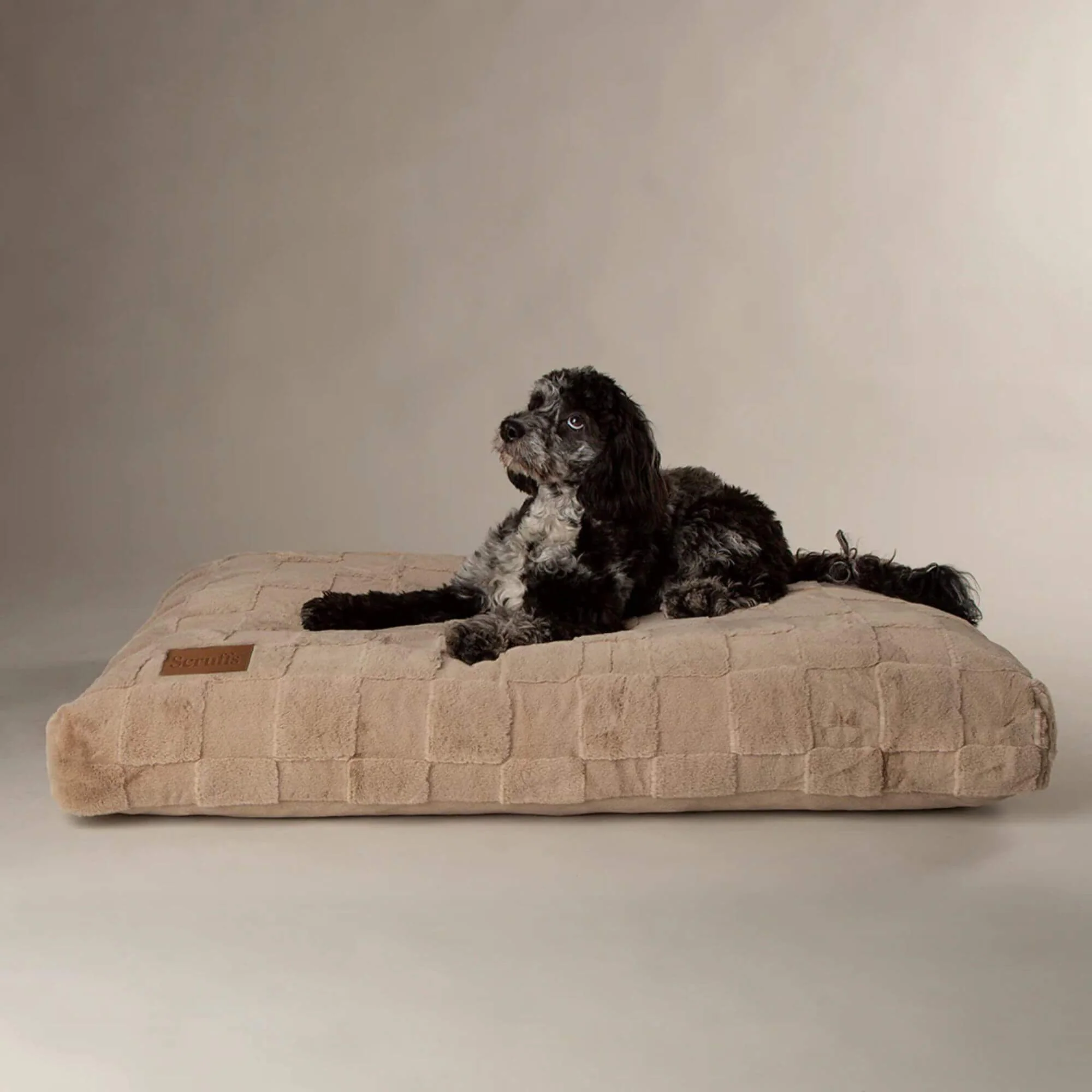 Scruffs Oxford Orthopaedic Mattress Dog Bed - Image 10