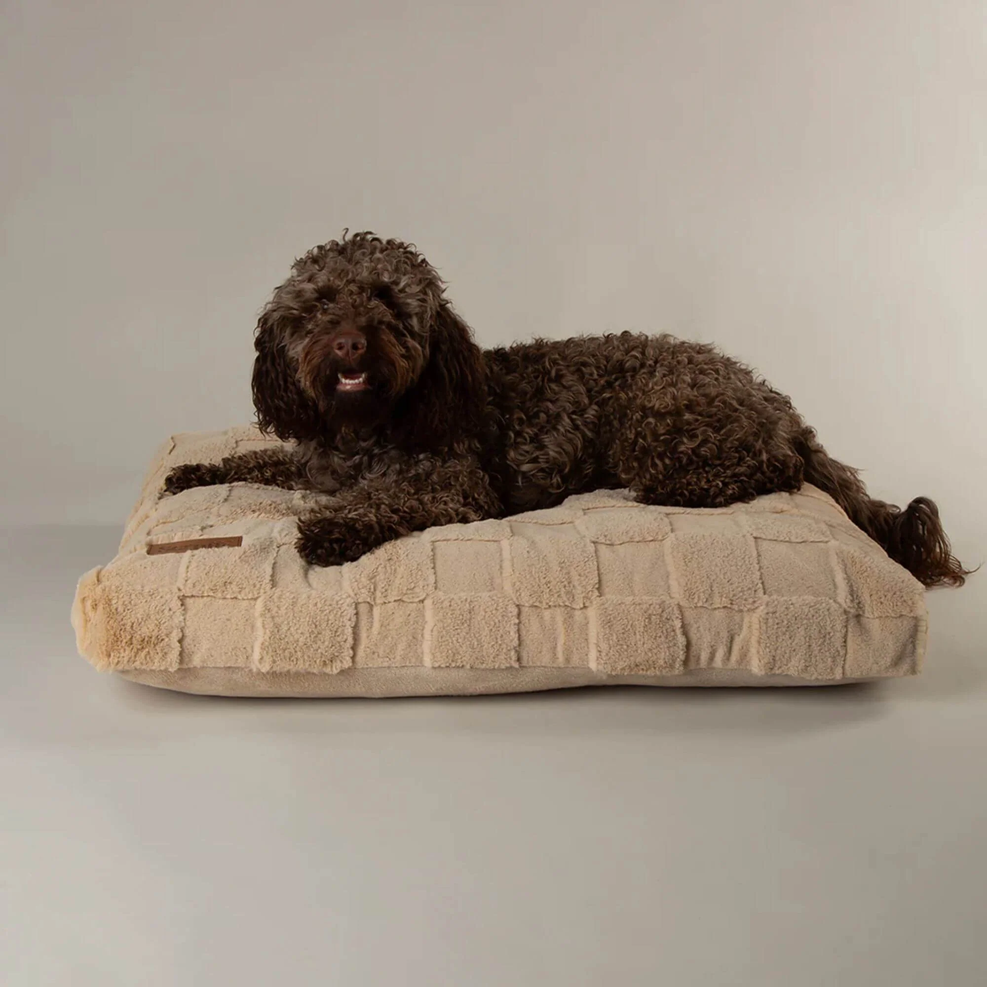 Scruffs Oxford Orthopaedic Mattress Dog Bed - Image 2