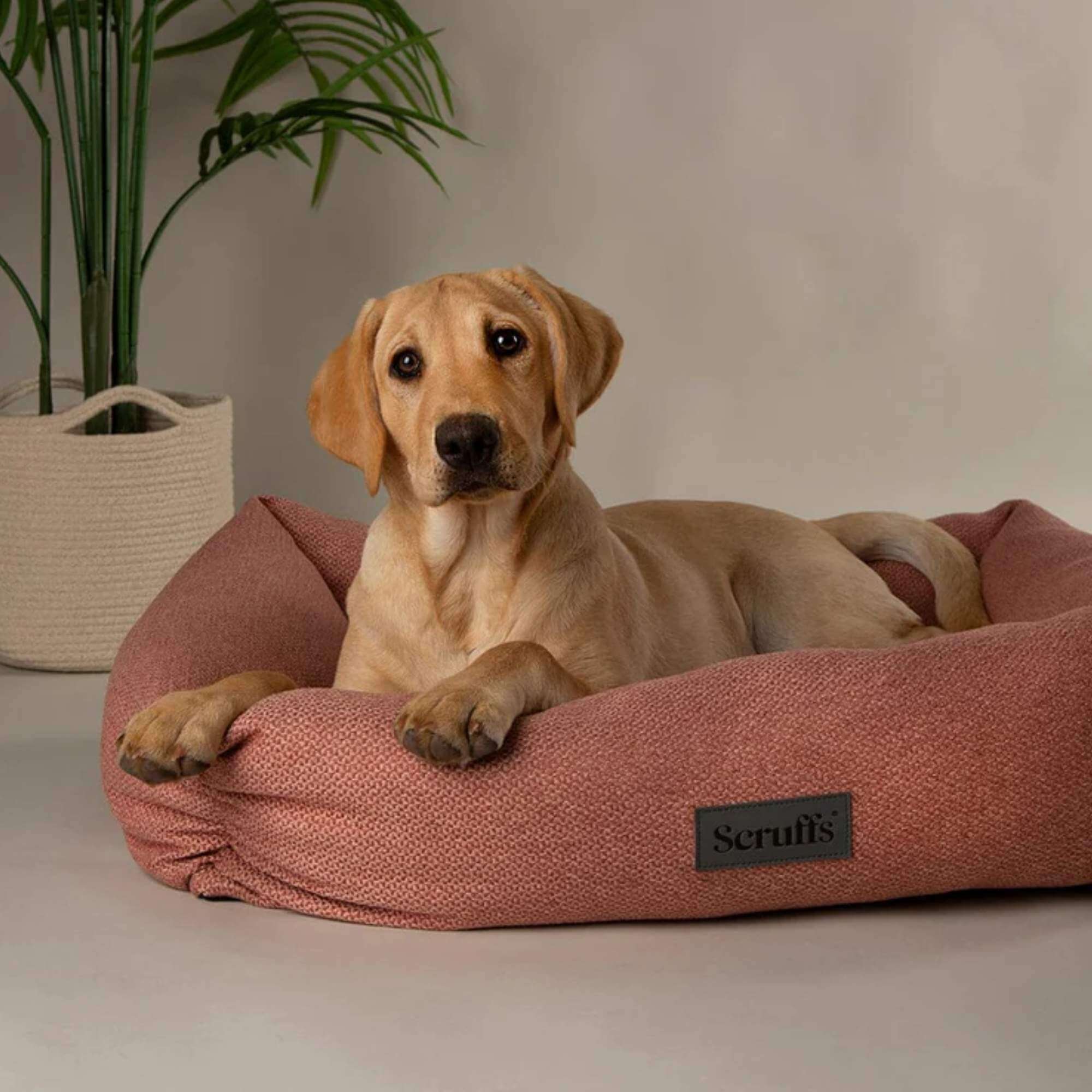 Scruffs Seattle Box Dog Bed - Image 6