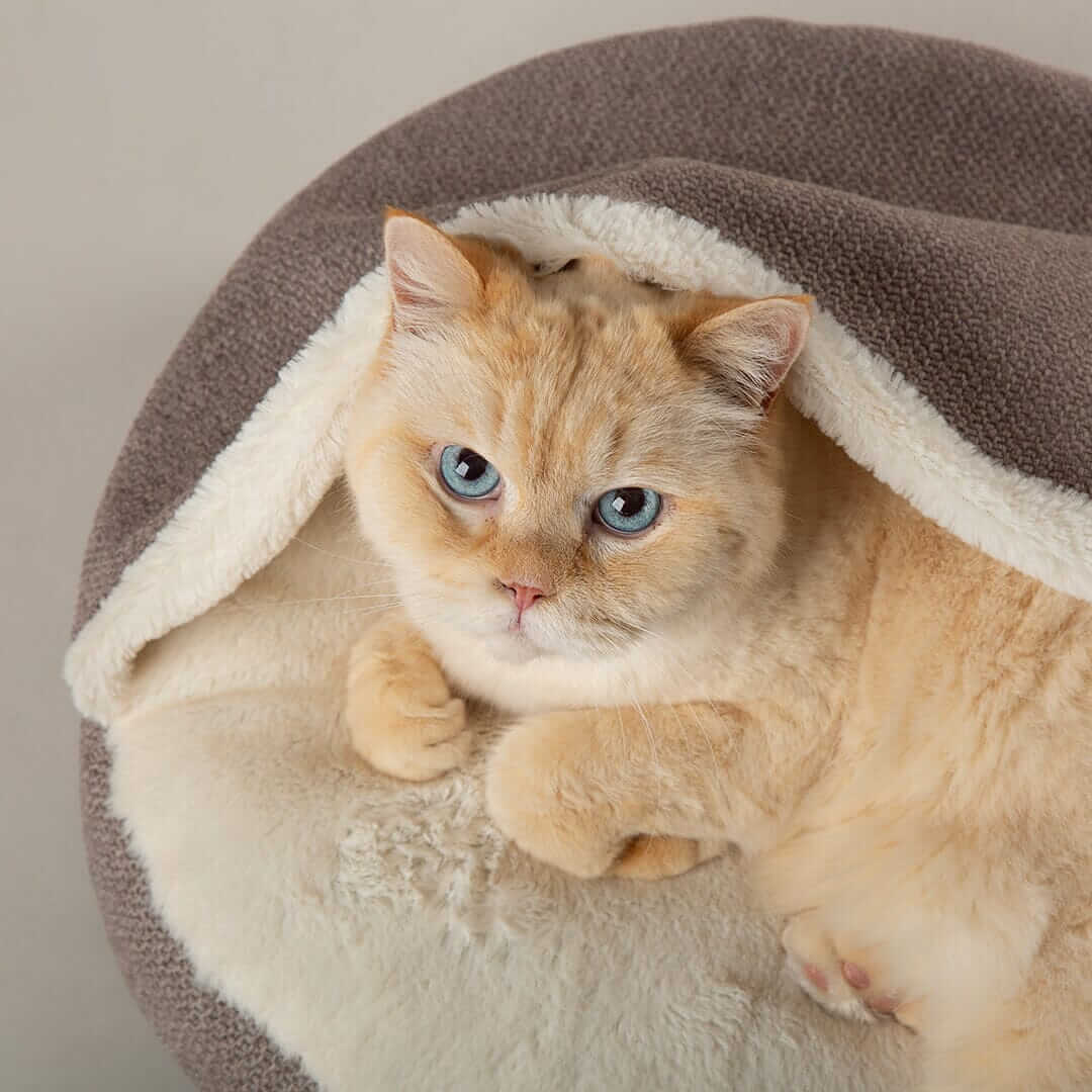 Scruffs Seattle Burrow Cat Bed - Stone Grey - Image 5
