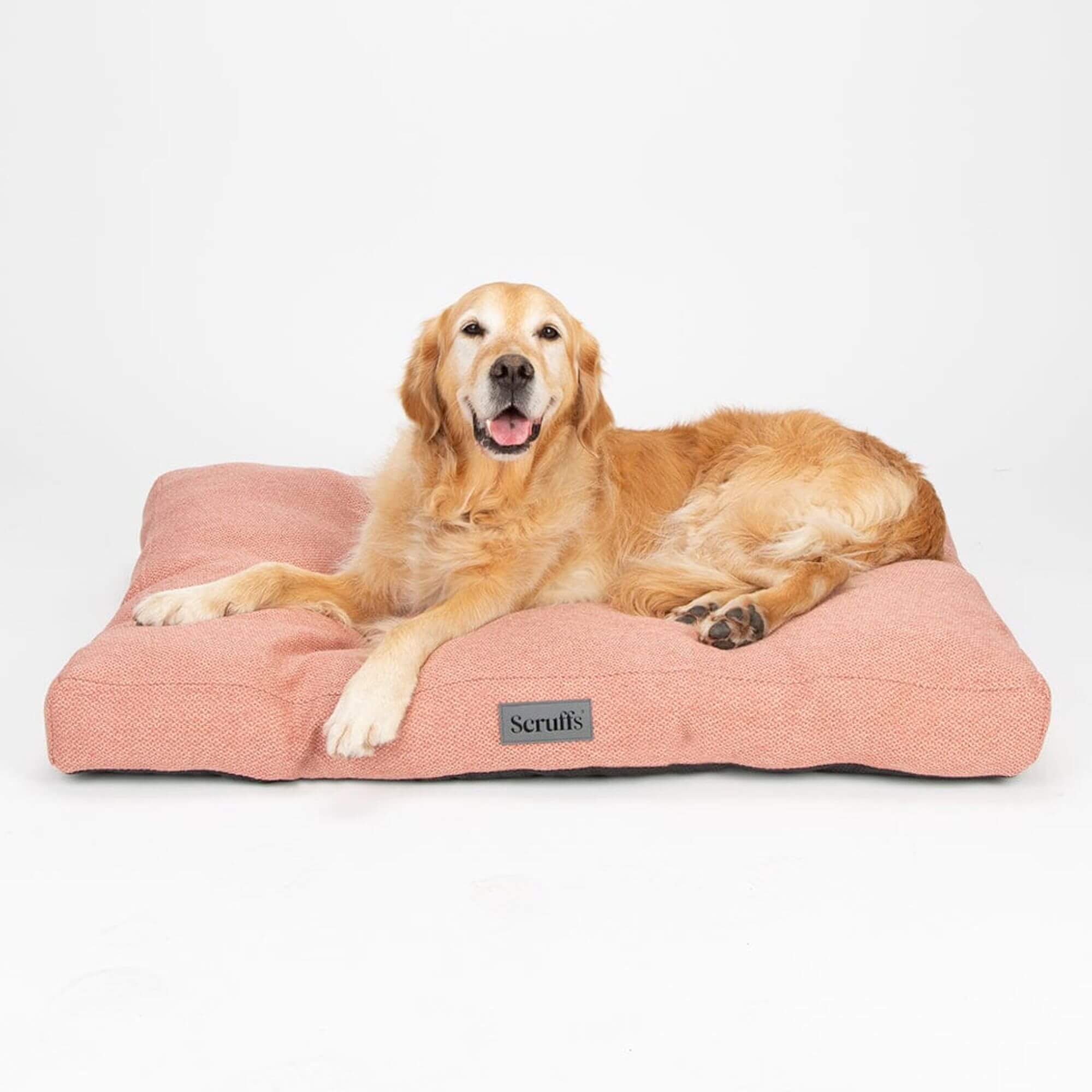 Scruffs Seattle Mattress Dog Bed - Image 7