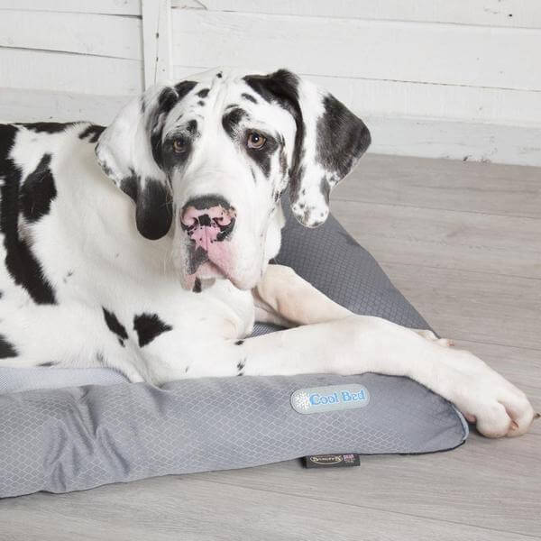 Scruffs Self Cooling Dog Bed - Image 4