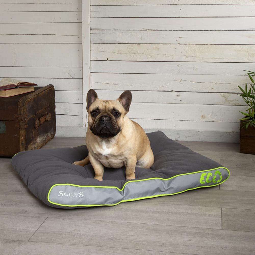 Scruffs Slimline Eco Mattress Dog Bed - Image 2