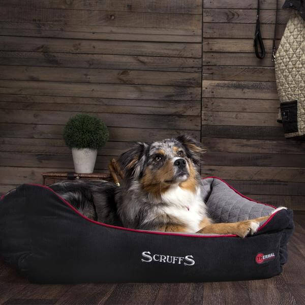 Scruffs Thermal Self Heating Box Bed - Image 8