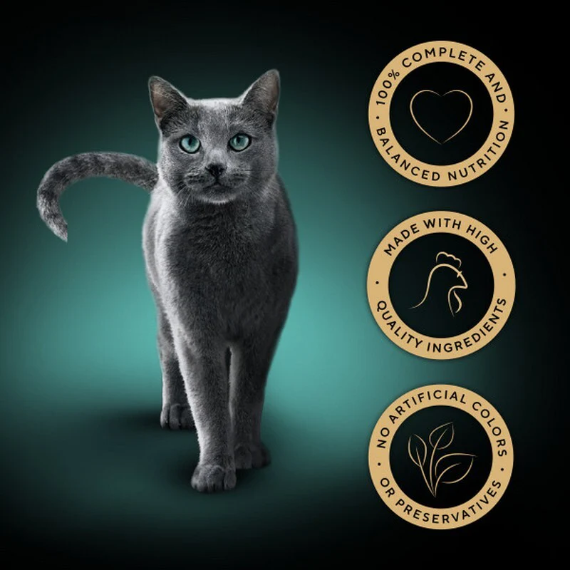 Sheba Tray Classic Chicken in Terrine Cat Food 85g x 22 - Image 3