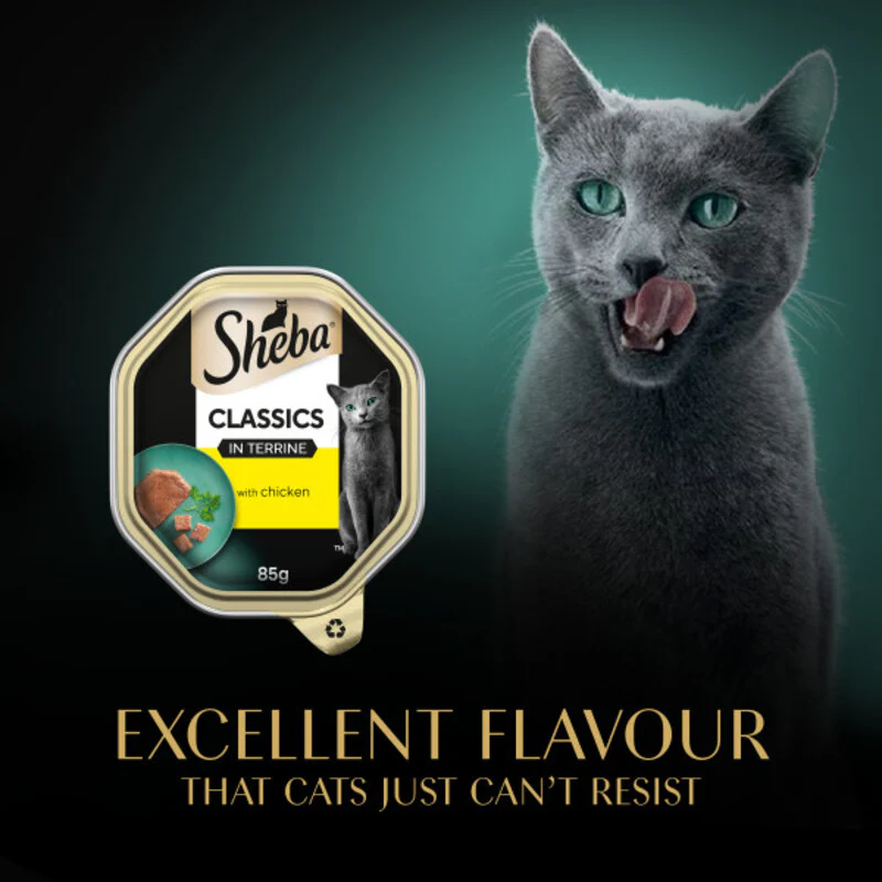Sheba Tray Classic Chicken in Terrine Cat Food 85g x 22 - Image 5