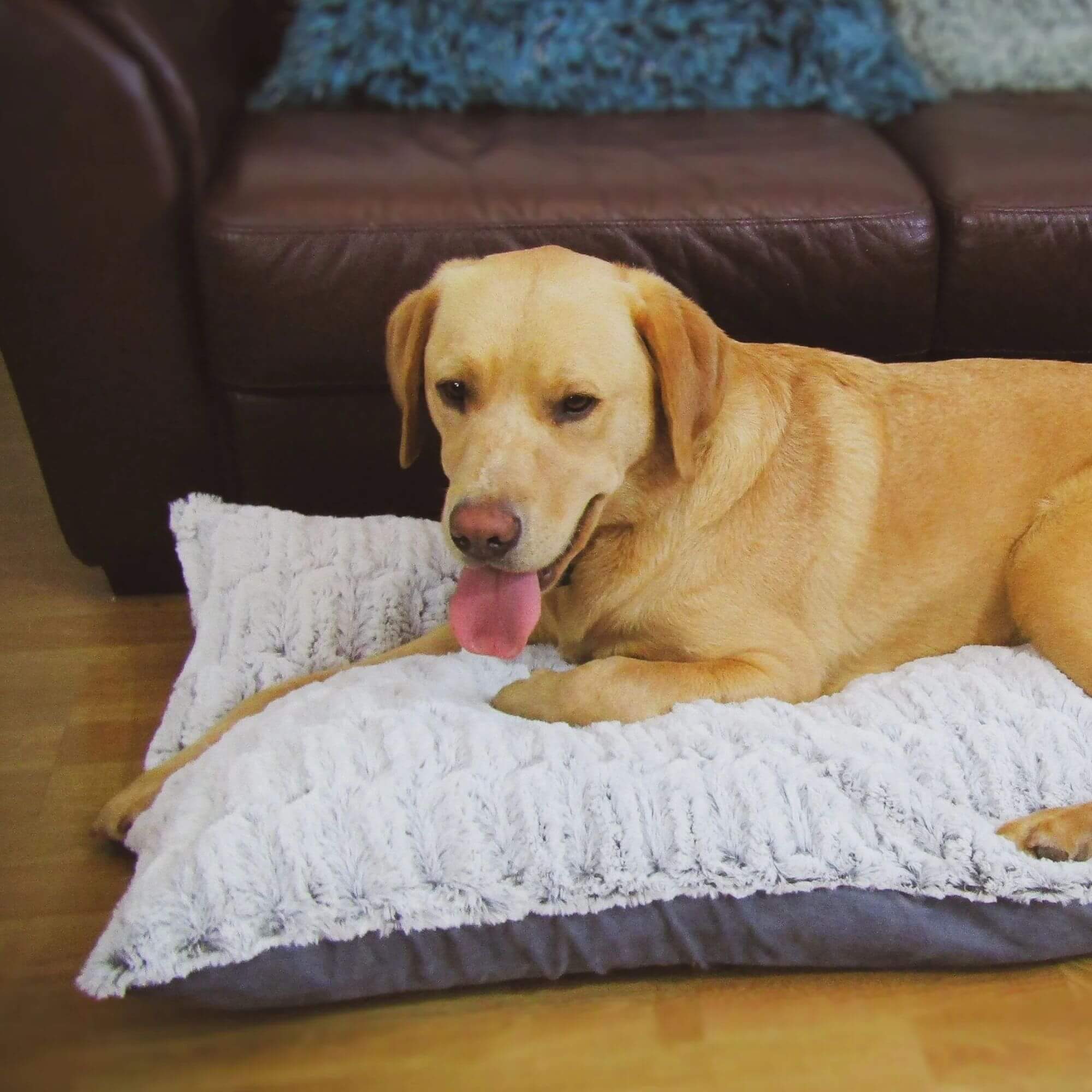 Snug & Cosy Novara Lounger Dog Bed - Image 5
