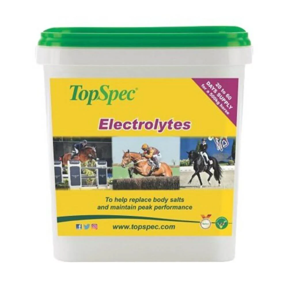 TopSpec Electrolytes Equine Supplement - Image 2