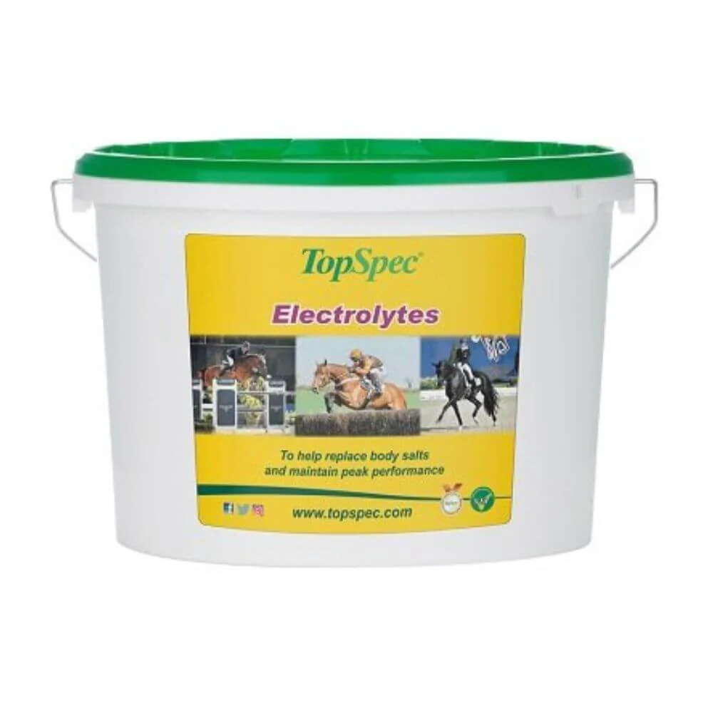 TopSpec Electrolytes Equine Supplement - Image 3