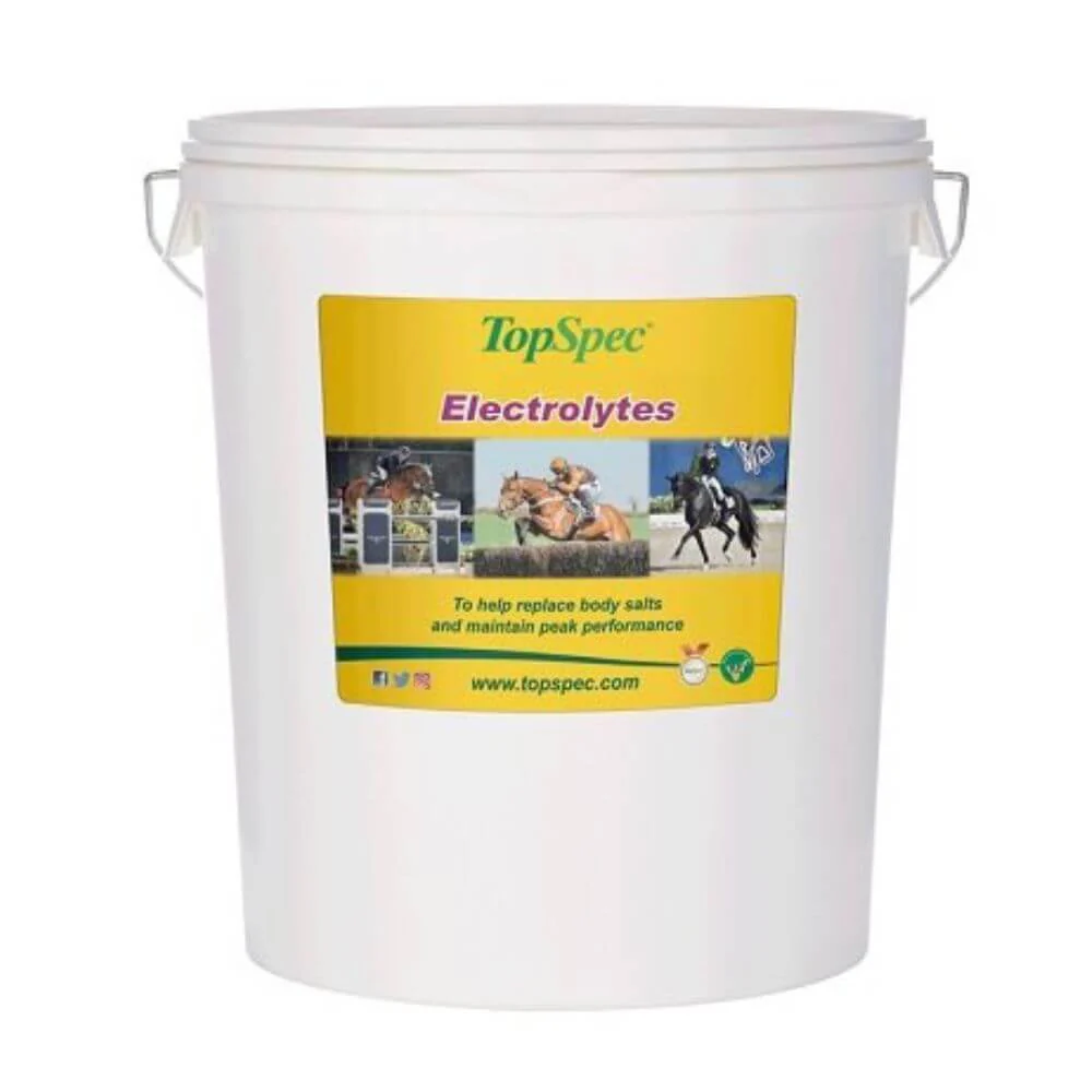TopSpec Electrolytes Equine Supplement - Image 4