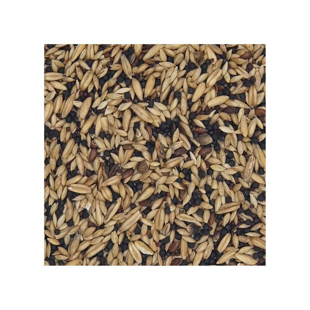 Versele Laga Classic Canary Food 20kg - Image 2