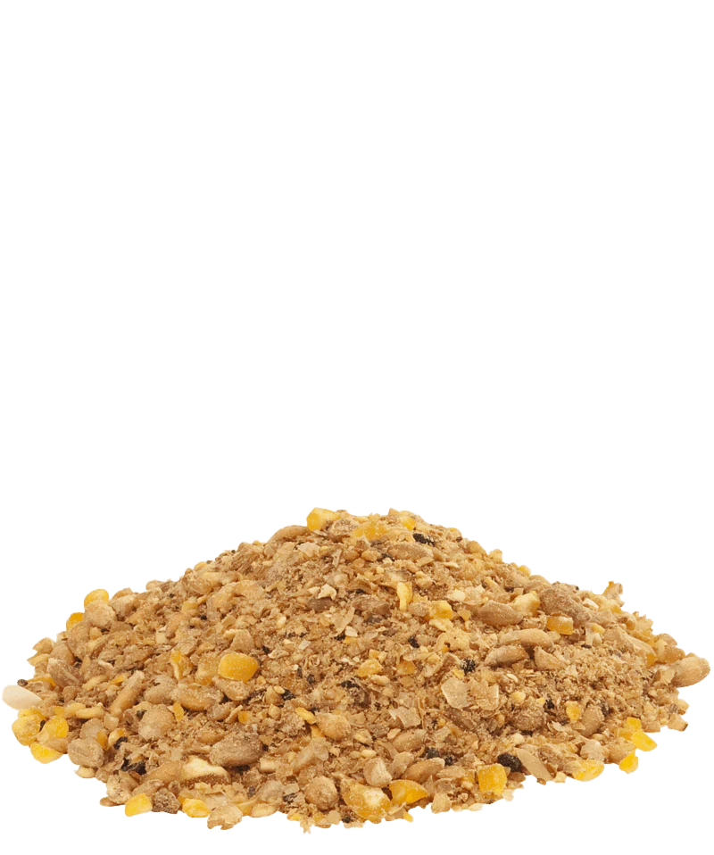 Versele-Laga Countrys Best Gold 4 Poultry Mash - Image 2