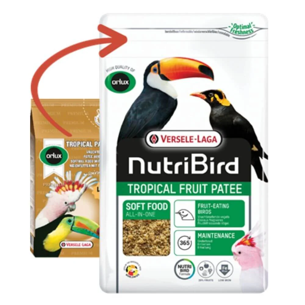 Versele-Laga Nurtibird Tropical Fruit Patee 1kg - Image 3