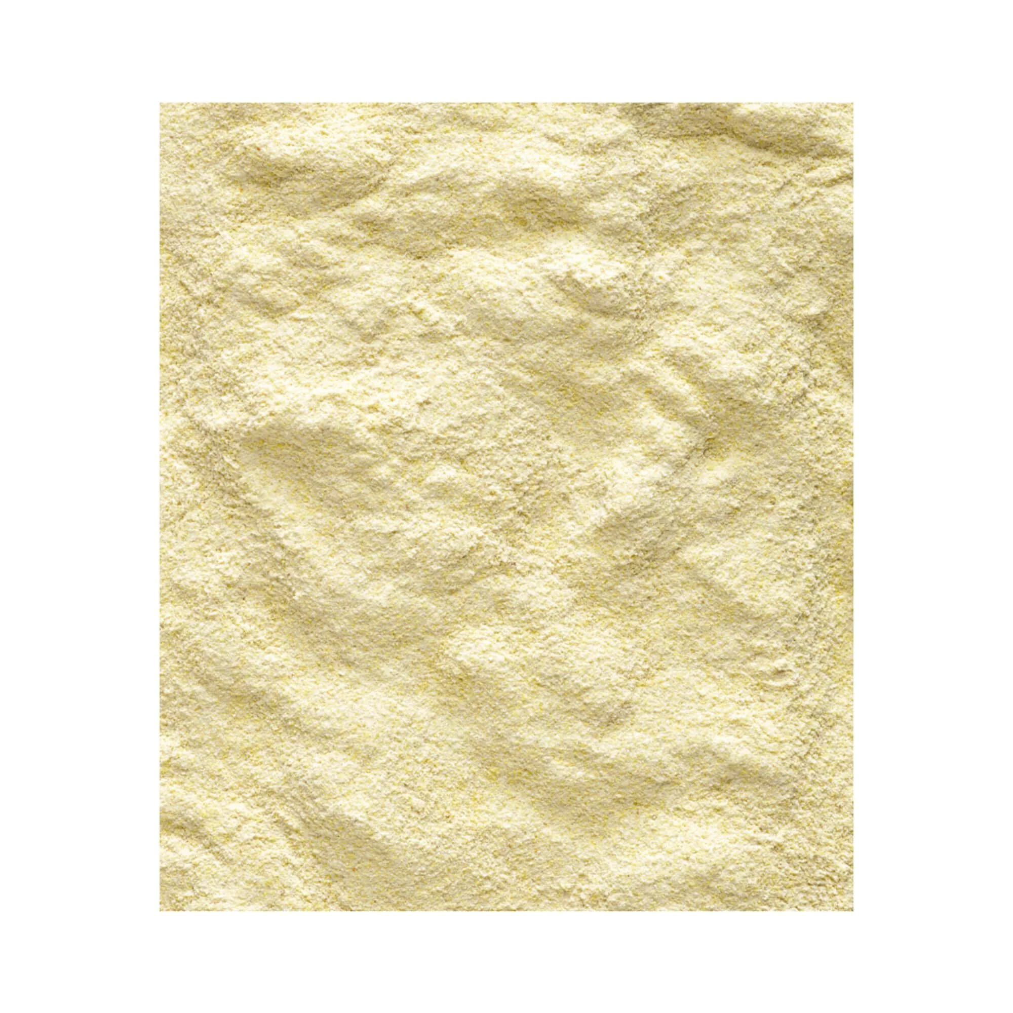 Versele Laga NutriBird A18 Lori Young Bird Food - Image 3