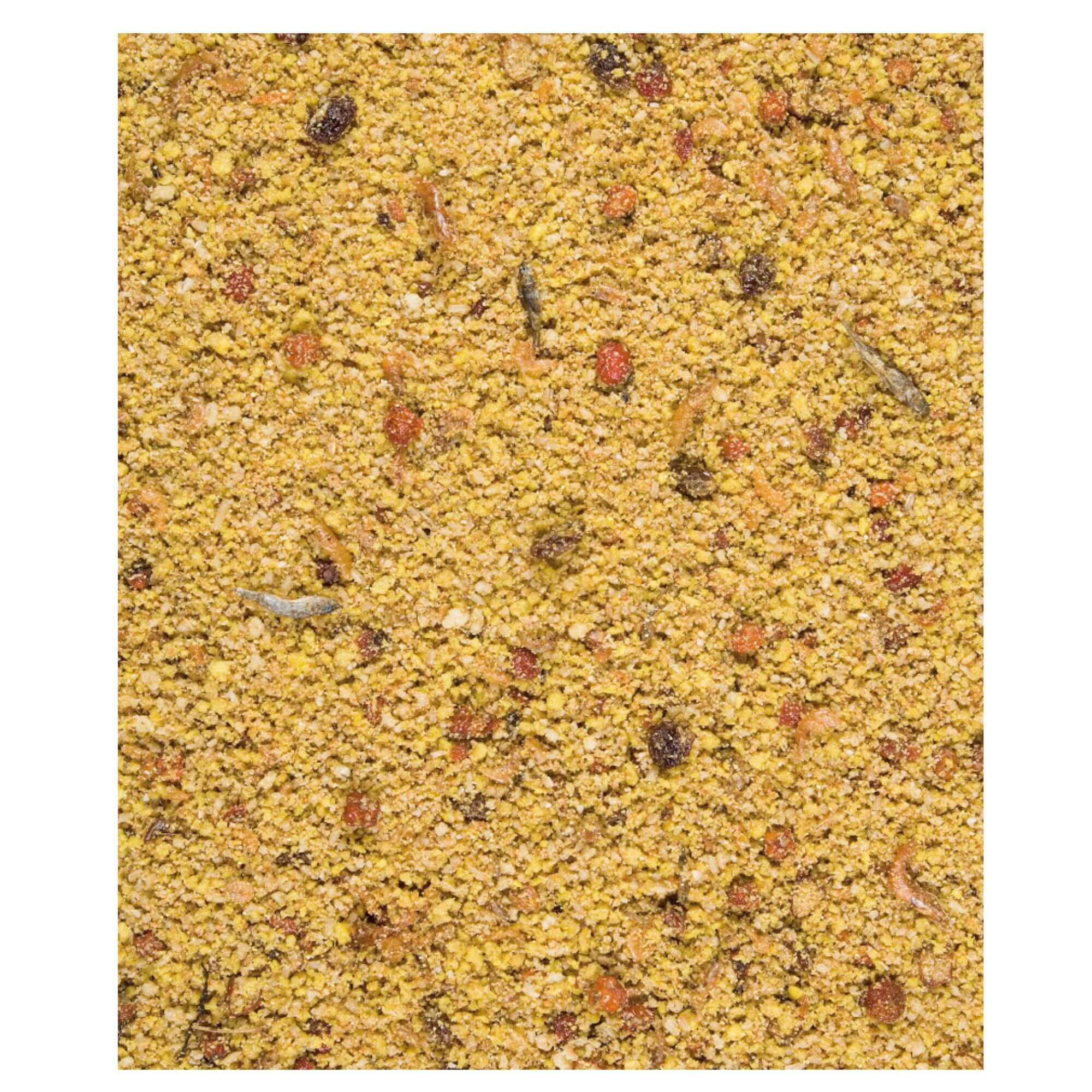 Versele-Laga NutriBird Gold Patee Big Parakeets & Parrots - Image 3