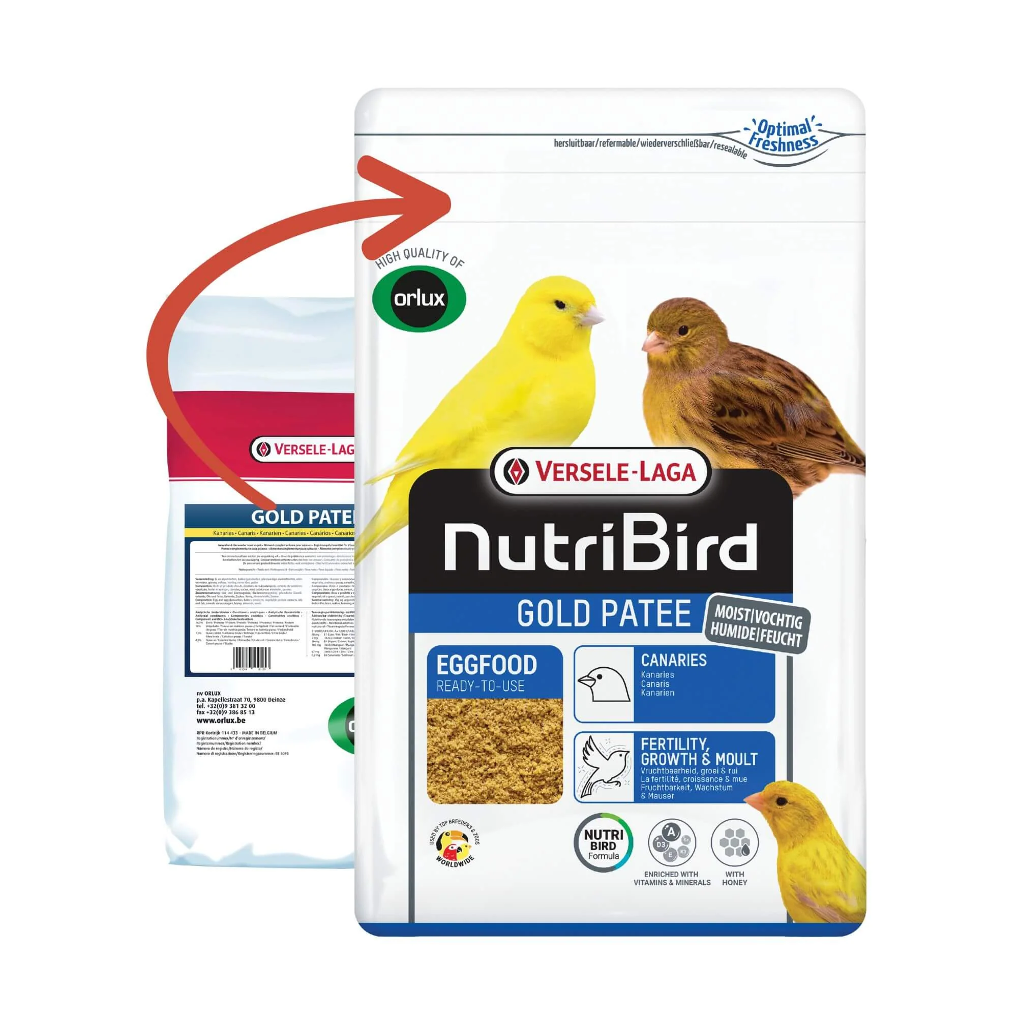 Versele-Laga NutriBird Gold Patee Canaries - Image 4