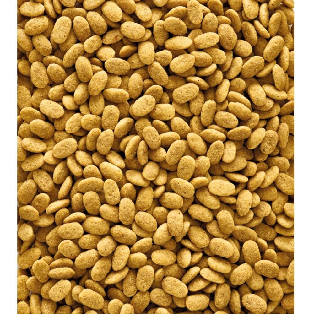 Versele-Laga Nutribird P15 Original Maintenance Food for Parrots - Image 2