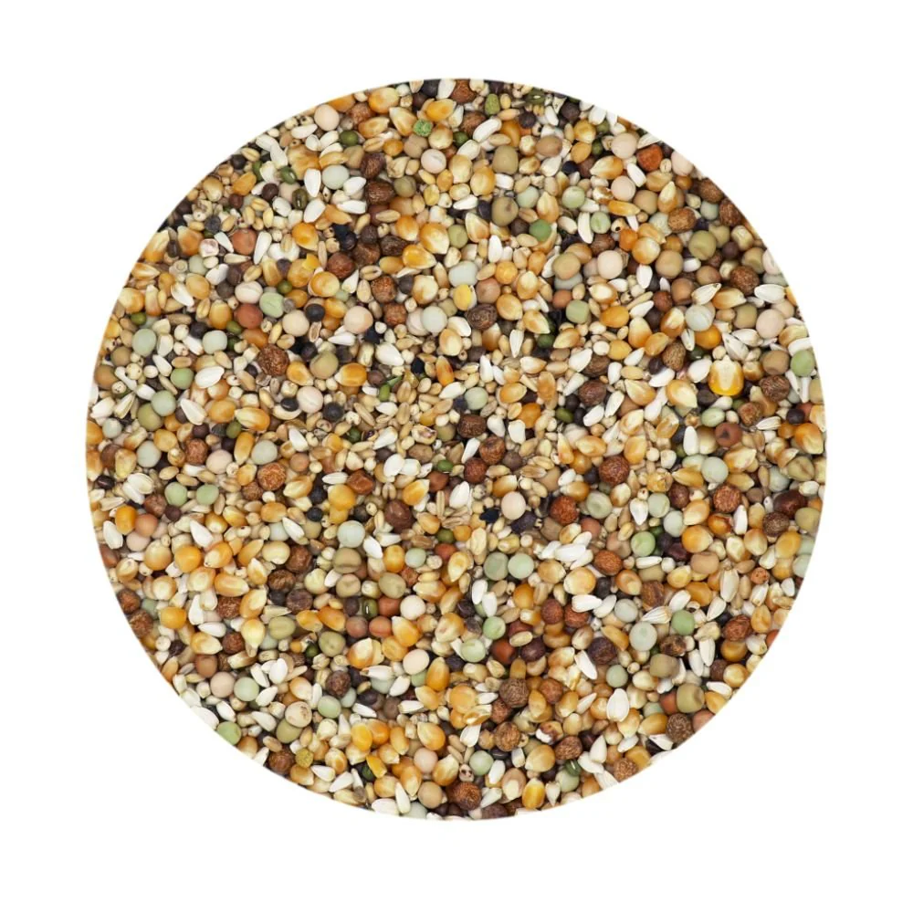 Versele Laga Petite France Special Pigeon Feed 20kg - Image 2