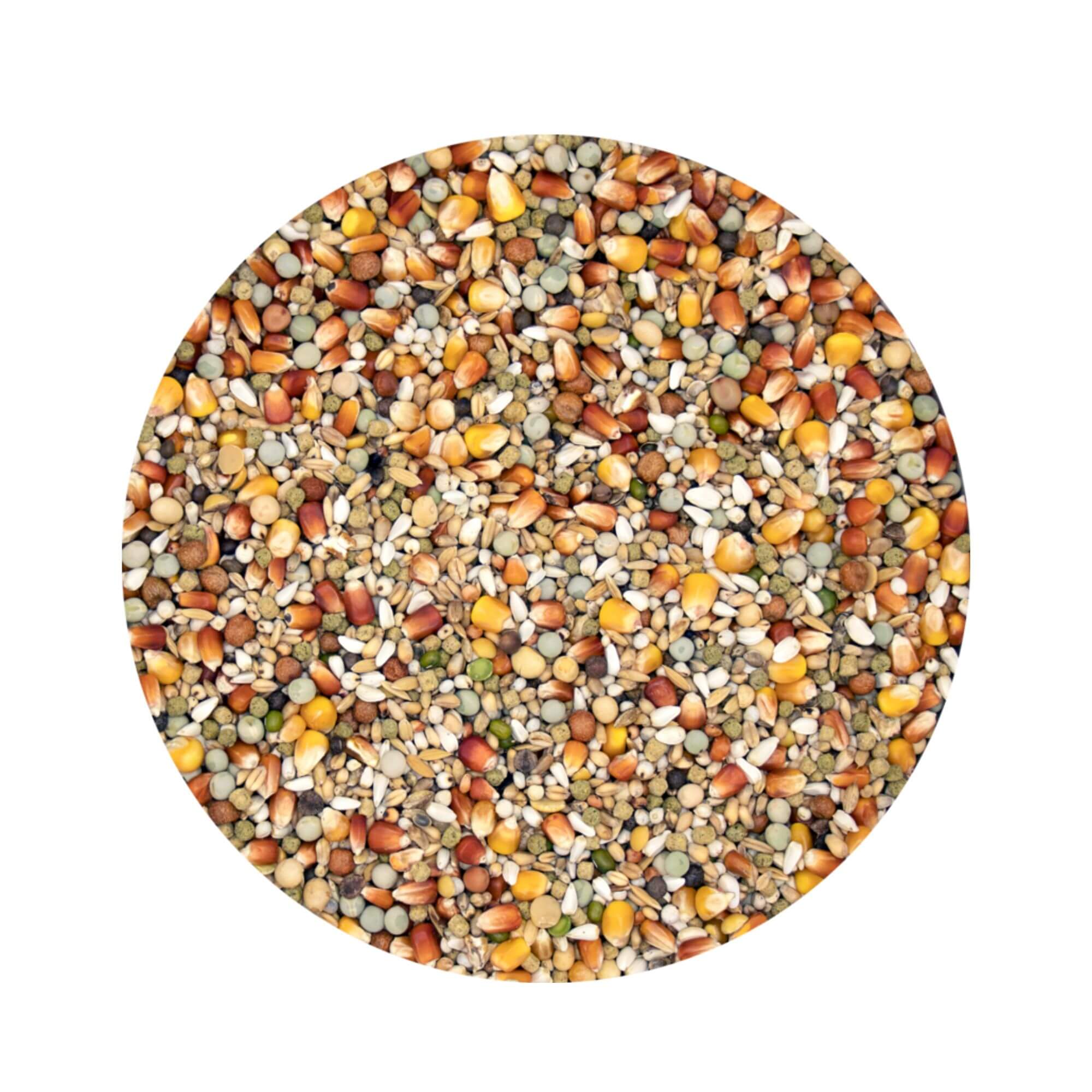 Versele-Laga Plus Champion Pigeon Food 20kg - Image 2