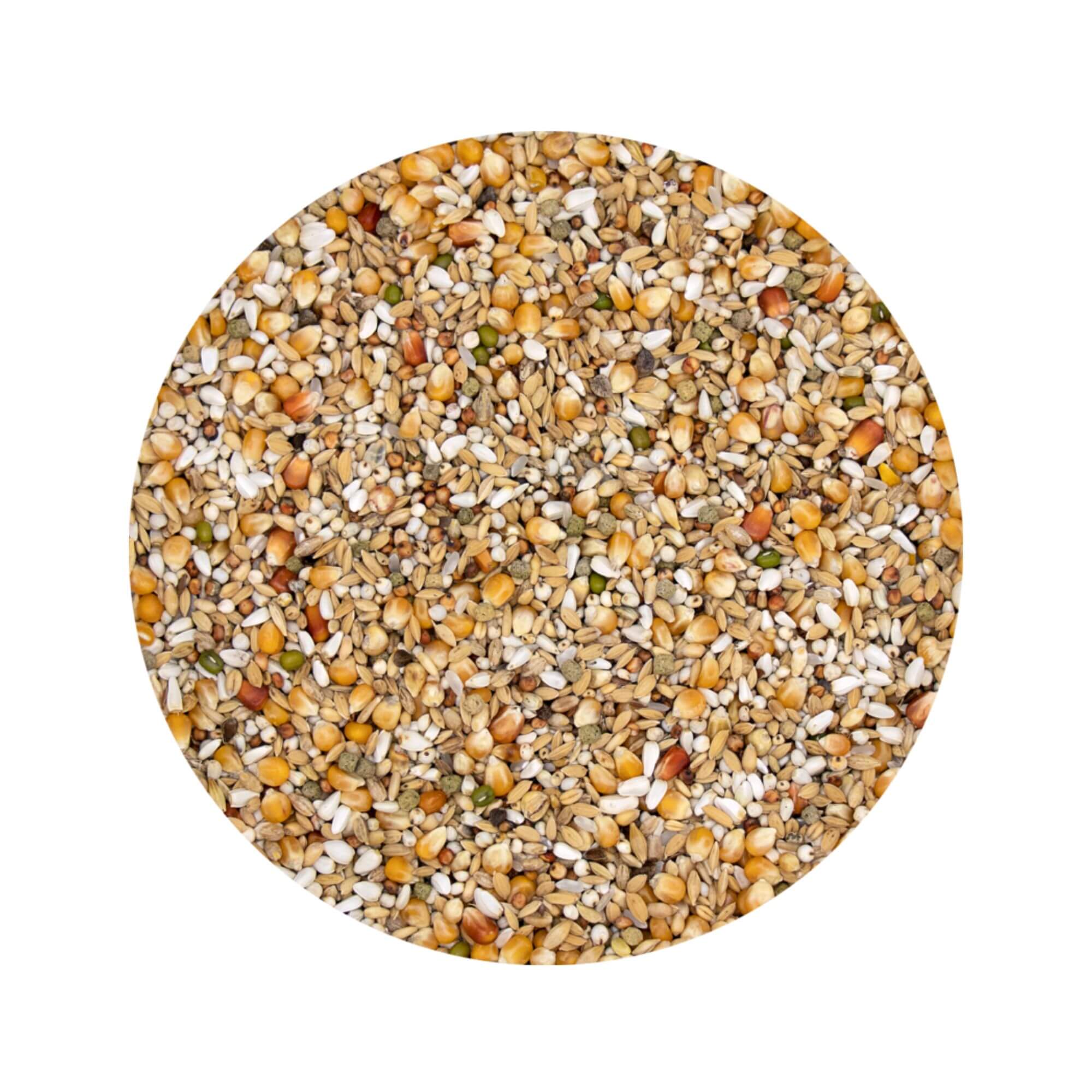 Versele-Laga Plus Gerry Low Protein Mix 20kg - Image 2