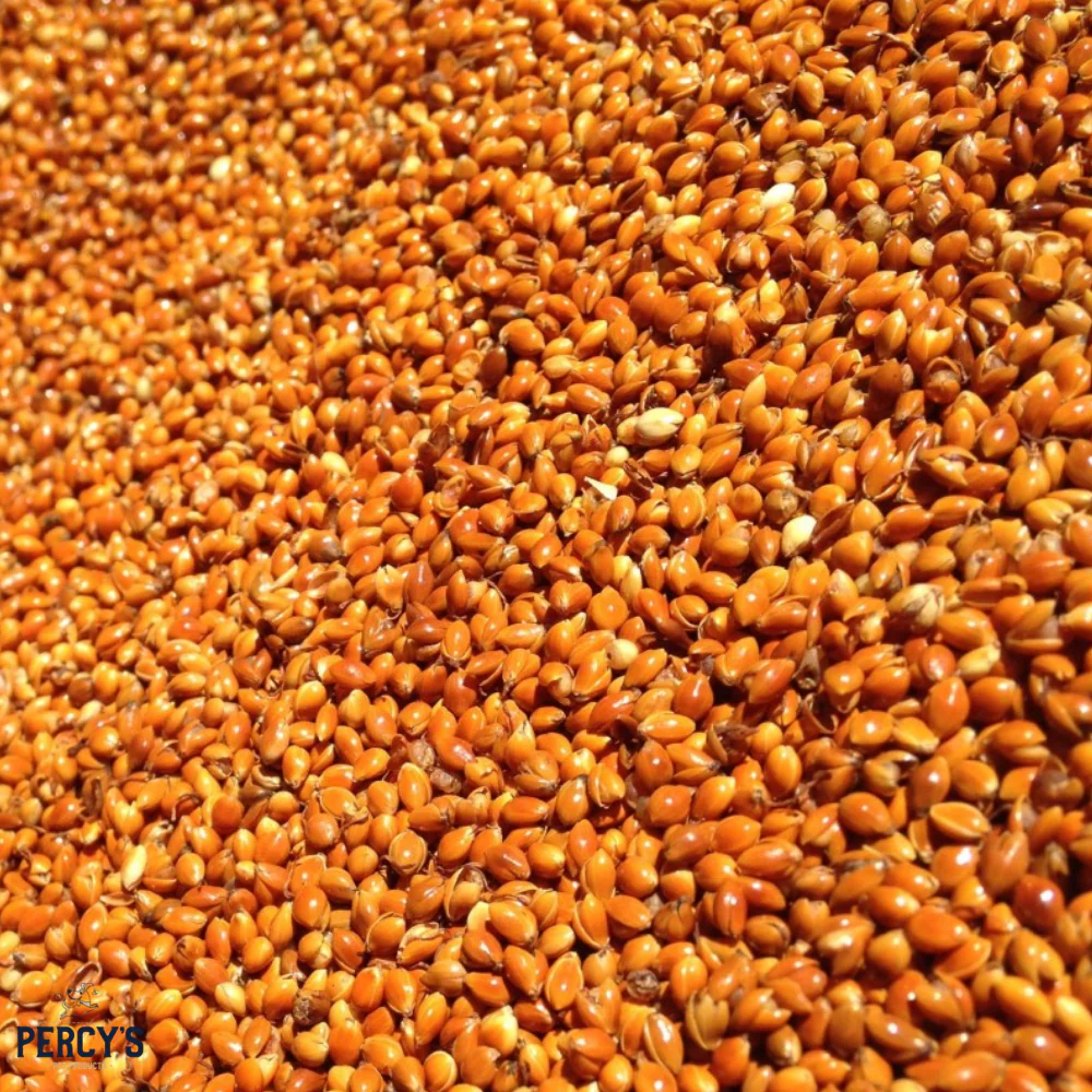 Versele-Laga Red Millet Seed 25kg - Image 2