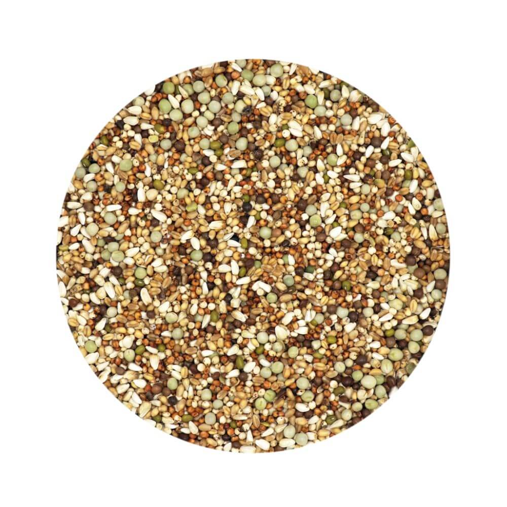 Versele-Laga Show Tumbler-Flyer Mix Pigeon Food 20kg - Image 2