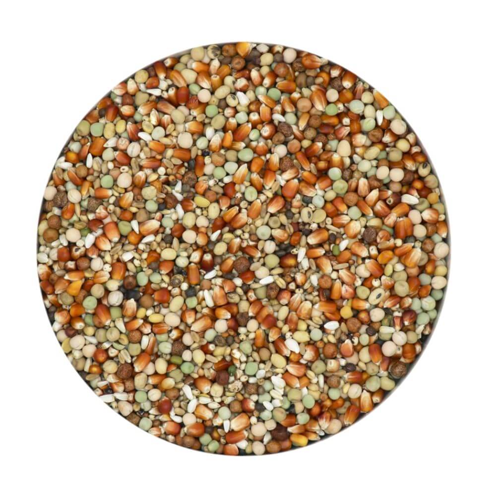 Versele-Laga Traditional Red Breeding Subliem 25kg - Image 2