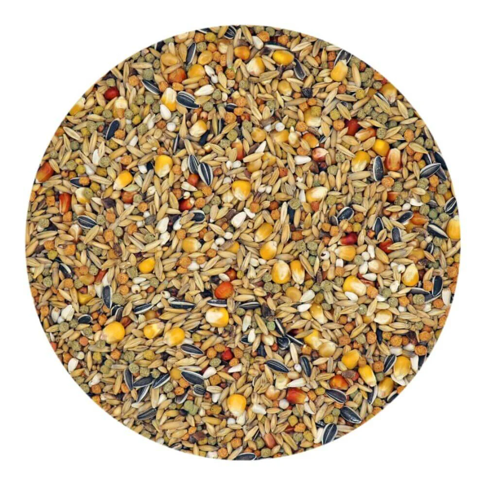 Versele-Laga Plus Winter Pigeon Food 20kg - Image 2