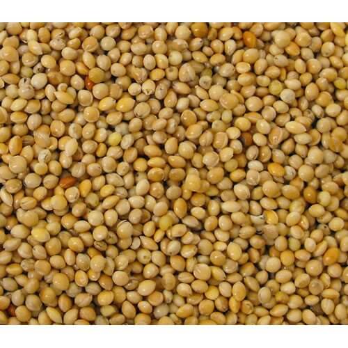 Versele-Laga Yellow Millet Seed 25kg - Image 2