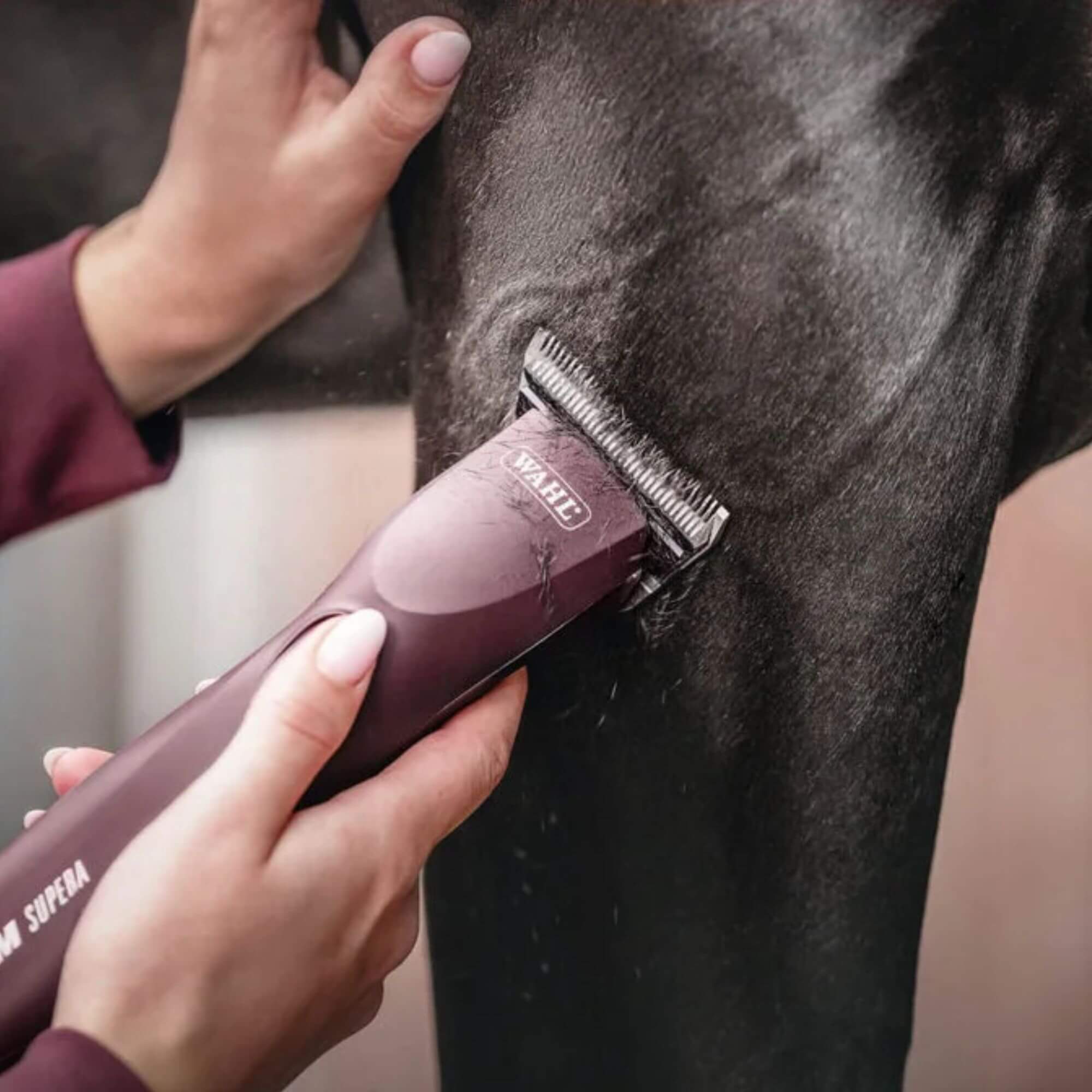 Wahl KMC Supera Cordless Equine Clipper - Image 7