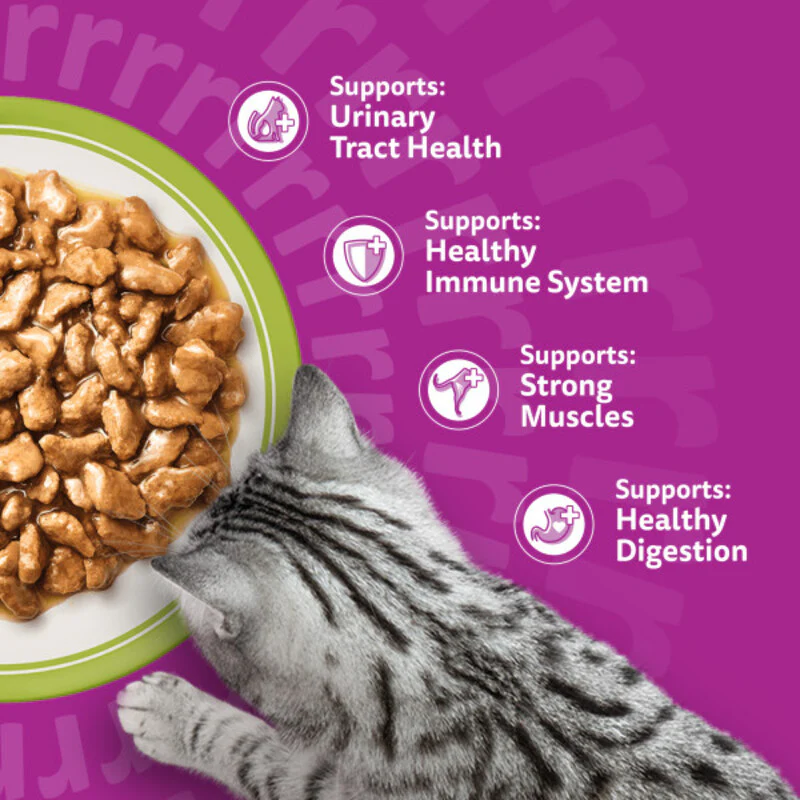 Whiskas Senior 7+ Mixed Menu in Gravy Cat Food 85g x 48 - Image 3