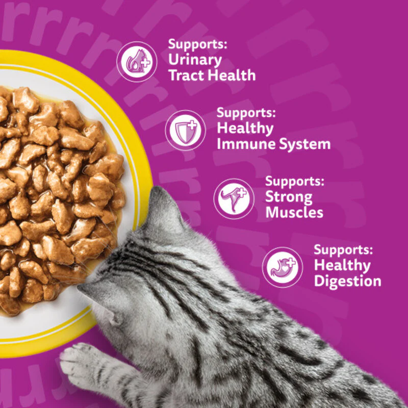 Whiskas Senior 7+ Poultry Feasts in Gravy Cat Food 85g x 48 - Image 3